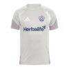 LA Galaxy 2026 Competition Training Jersey - Silver - Side View