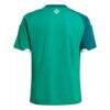 Northern Ireland National Team adidas Youth 2026 Home Replica Jersey - Green - Detail View