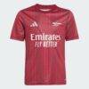 Arsenal adidas Youth 2025/26 Pre-Match Training Jersey - Red - Alt1
