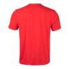Calgary Flames Levelwear Richmond Carve T-Shirt - Red - Detail View