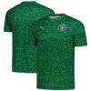 Manchester City Puma 2025/26 Pre-Match Training Jersey - Green - Front View