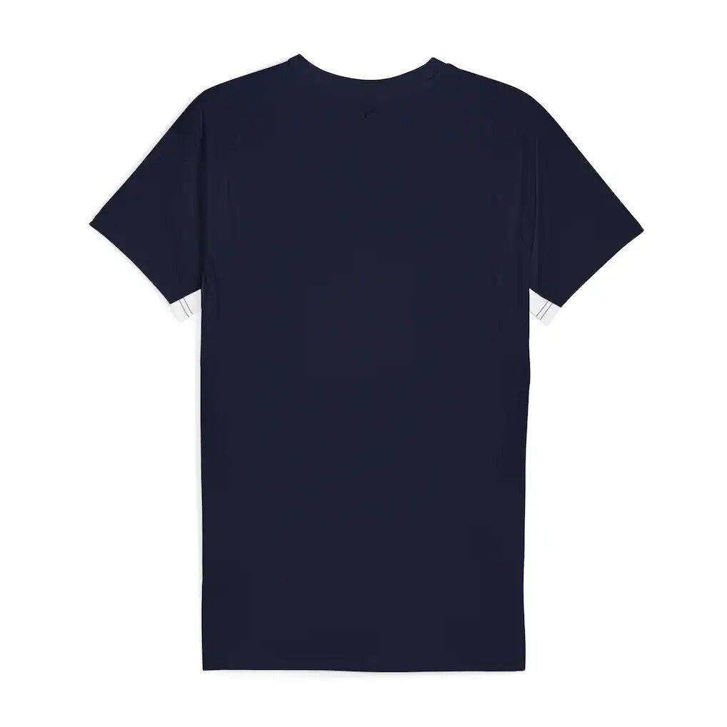 CF Monterrey Puma Evostripe dryCELL Raglan T-Shirt