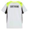Borussia Dortmund Puma Youth 2025/26 Away Replica Jersey - Gray - Alt2