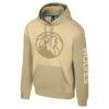 Minnesota Timberwolves Stadium Essentials Unisex Rafters Burst Hoodie - - Front View