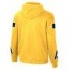 Indiana Pacers Stadium Essentials Unisex City Star Hoodie - Gold - Detail View