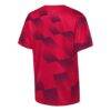 FC Dallas Outerstuff Youth Sheer Thrill T-Shirt - Red - Detail View