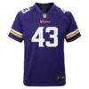 Andrew Van Ginkel Minnesota Vikings Nike Youth Youth - Purple - Side View