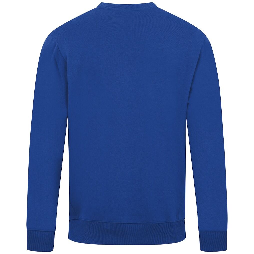 Philadelphia Phillies Levelwear Zane Journey Sweatshirt - Royal