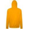 Pittsburgh Pirates Levelwear Podium Banner Arch Hoodie - Gold - Detail View