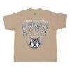 Minnesota Lynx Stadium Essentials Unisex Rays Up Urban Premium Relaxed Fit T-Shirt - - Side View