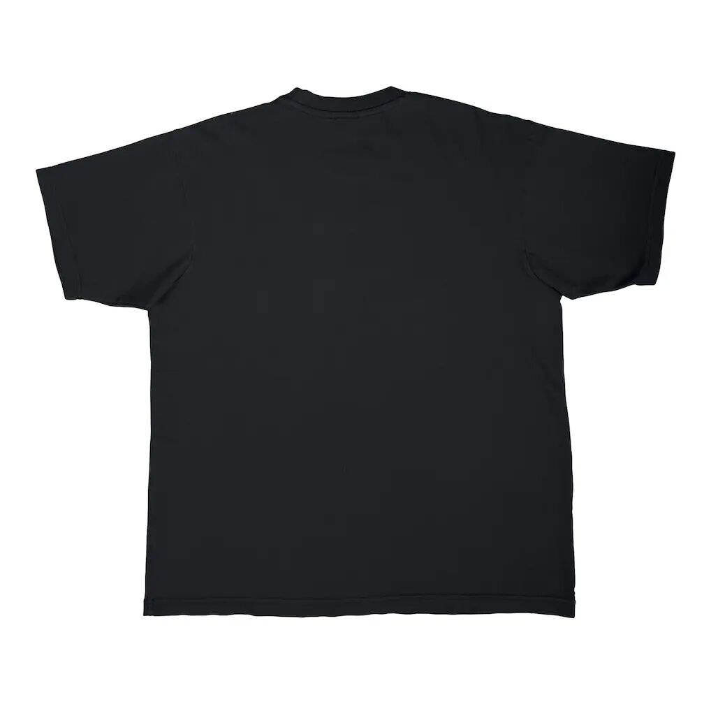 Golden State Valkyries Stadium Essentials Unisex Most Valuable Mascot Urban Premium T-Shirt