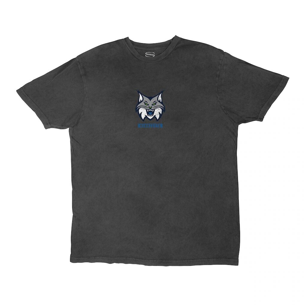 Minnesota Lynx Stadium Essentials Unisex Relaxed Fit Big Shot Vintage Wash T-Shirt - Heather Black