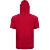 Minnesota Twins Levelwear Phase Banner Arch Hoodie T-Shirt - Red - Detail View