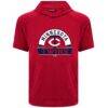 Minnesota Twins Levelwear Phase Banner Arch Hoodie T-Shirt - Red - Side View