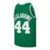 Brian Scalabrine Boston Celtics Mitchell & Ness 2007/08 Hardwood Classics Swingman Jersey - - Detail View