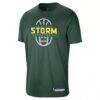 Seattle Storm Nike Unisex 2026 On-Court Authentic Practice Premium T-Shirt - Green - Side View