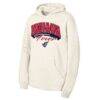 Indiana Fever Outerstuff Youth Powerful Fleece Hoodie - - Front View