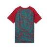 Portugal National Team Puma Youth Pre-Match Jersey - Red - Alt1