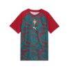 Portugal National Team Puma Youth Pre-Match Jersey - Red - Alt2
