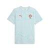 Portugal National Team Puma AOP FtblCulture T-Shirt - - Alt1