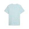 Portugal National Team Puma AOP FtblCulture T-Shirt - - Alt2