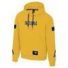 Indiana Pacers Stadium Essentials Unisex NBA Legends City Star Fleece Hoodie - Gold - Side View