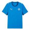 Iceland National Team Puma 2026 Home Replica Jersey - - Alt1