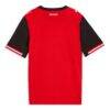 Austria National Team Puma Youth 2026 Home Replica Jersey - Red - Alt2