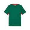 Senegal National Team Puma 2026 Away Replica Jersey - Green - Alt2