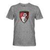 AFC Bournemouth 1863FC Color Badge Vintage Tri-Blend T-Shirt - Gray - Side View