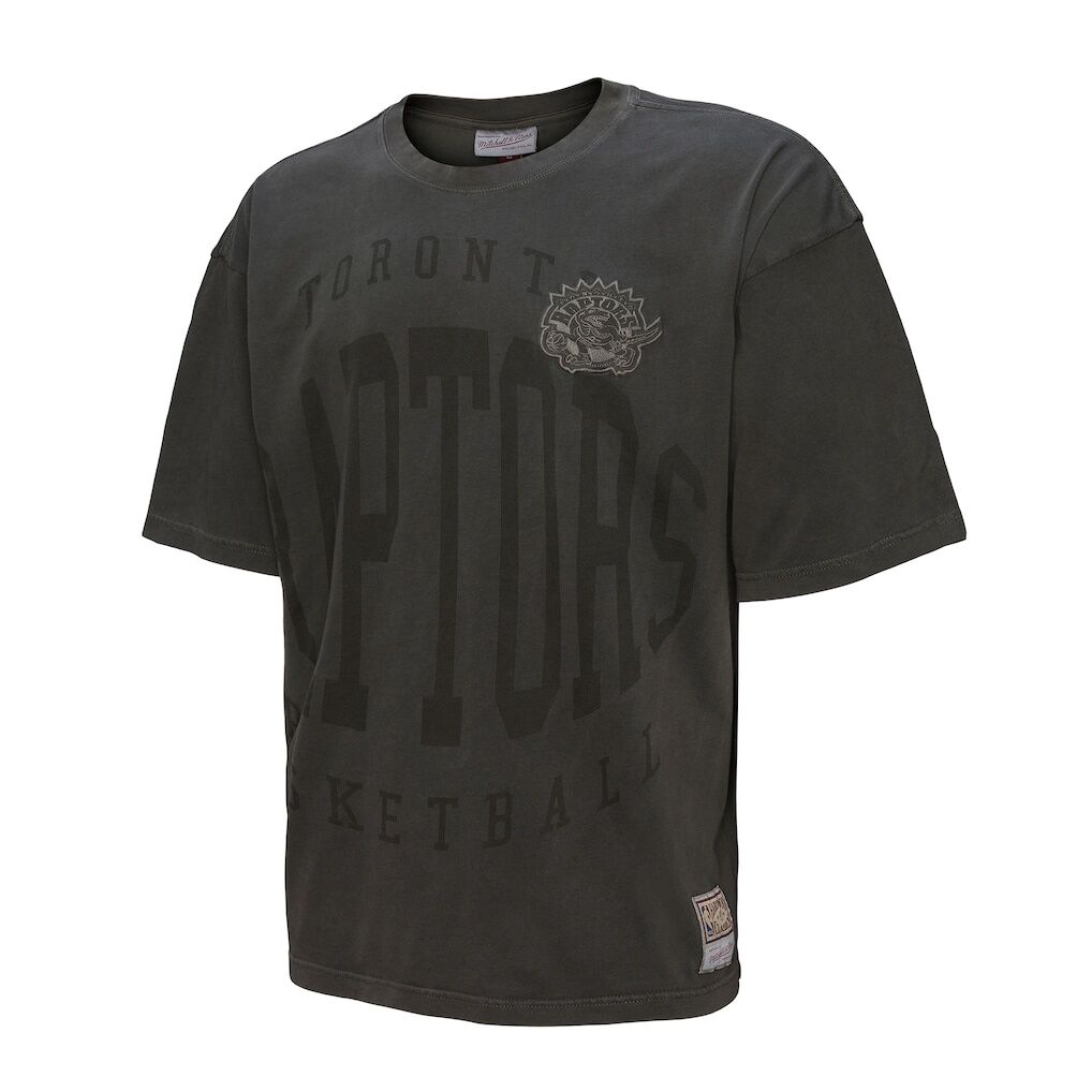 Toronto Raptors Mitchell & Ness Downtown Collection Premium T-Shirt