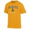 Appalachian State Mountaineers Champion Unisex Arch Grandparent Jersey T-Shirt - Gold - Side View