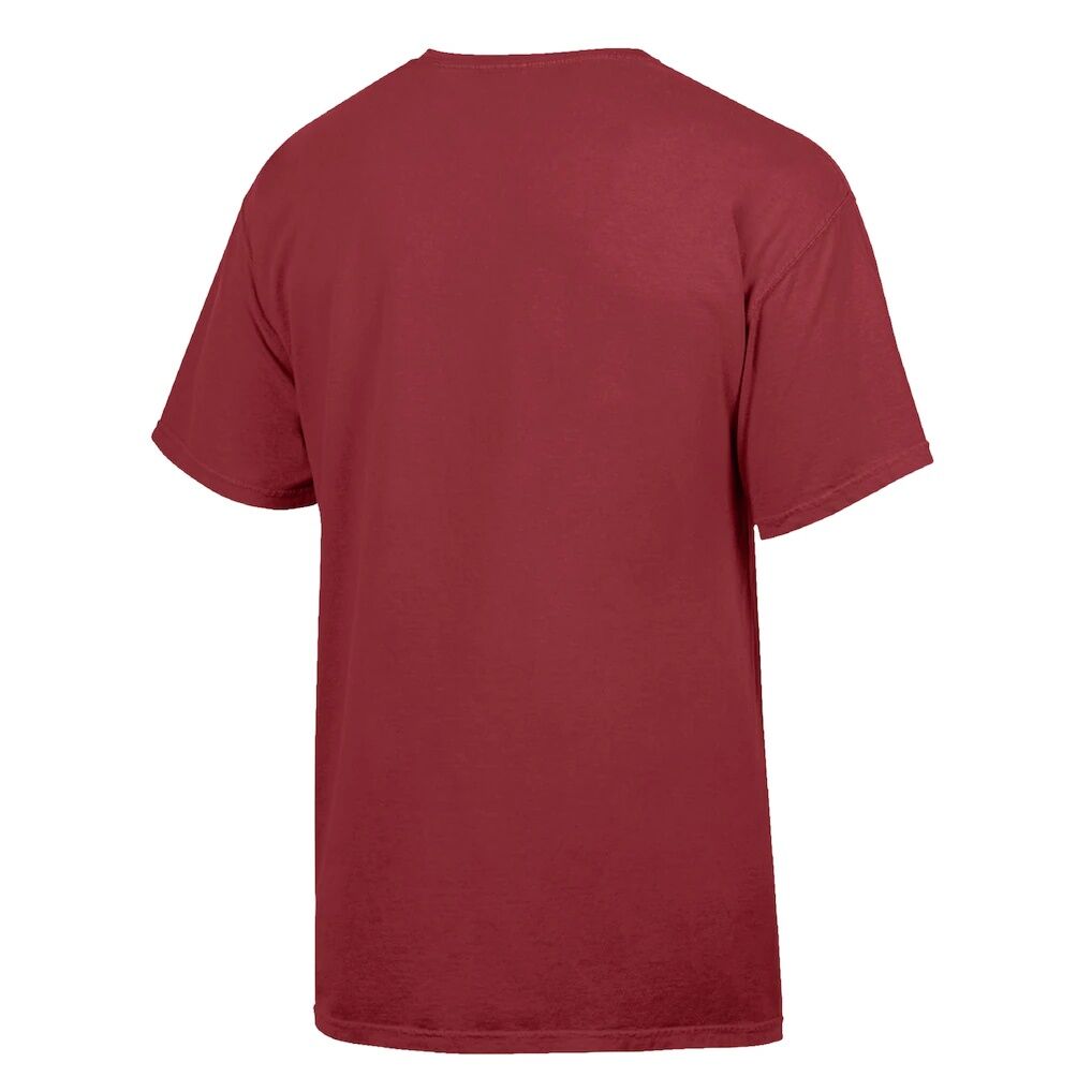 Charleston Cougars ComfortWash T-Shirt