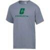 Charlotte 49ers ComfortWash Logo Over Stacked T-Shirt - Gray - Side View
