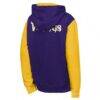 Minnesota Vikings Outerstuff Youth Stadium Colorblock Full-Zip Hoodie - Purple - Detail View