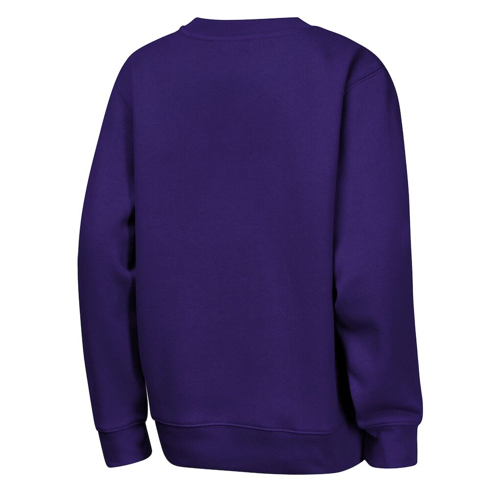 Minnesota Vikings Outerstuff Youth Run & Gun Fleece Sweatshirt