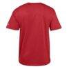 Arizona Cardinals Champion Arch Over Logo T-Shirt - - Detail View