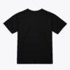 Toronto Raptors Mitchell & Ness Unisex Hardwood Classics Arch T-Shirt - Black - Detail View