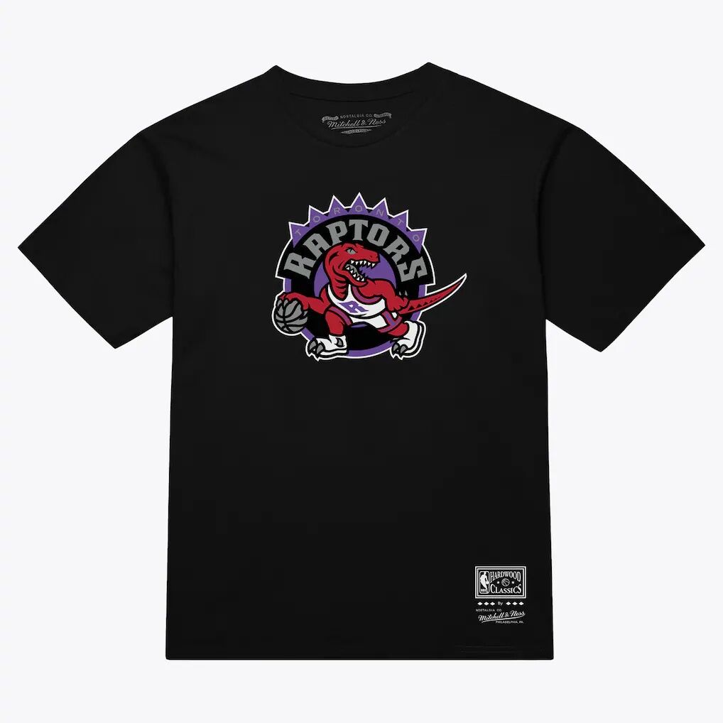 Toronto Raptors Mitchell & Ness Unisex Hardwood Classics Arch T-Shirt
