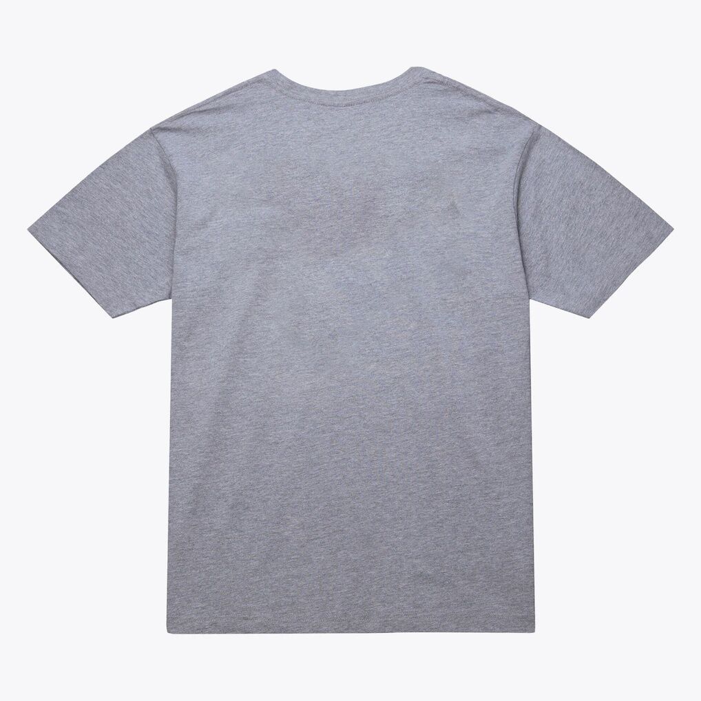 Golden State Warriors Mitchell & Ness Unisex Hardwood Classics Arch T-Shirt – Heather Gray