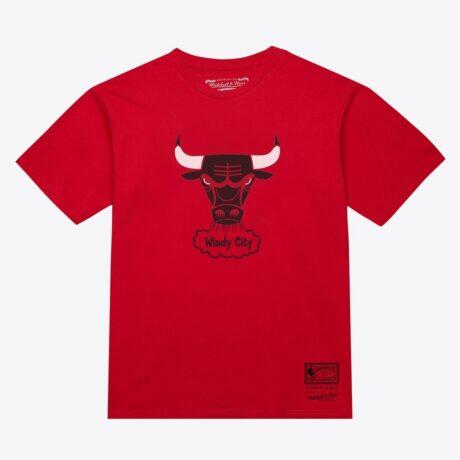 Chicago Bulls Mitchell & Ness Unisex Hardwood Classics Arch T-Shirt - Red - Front View