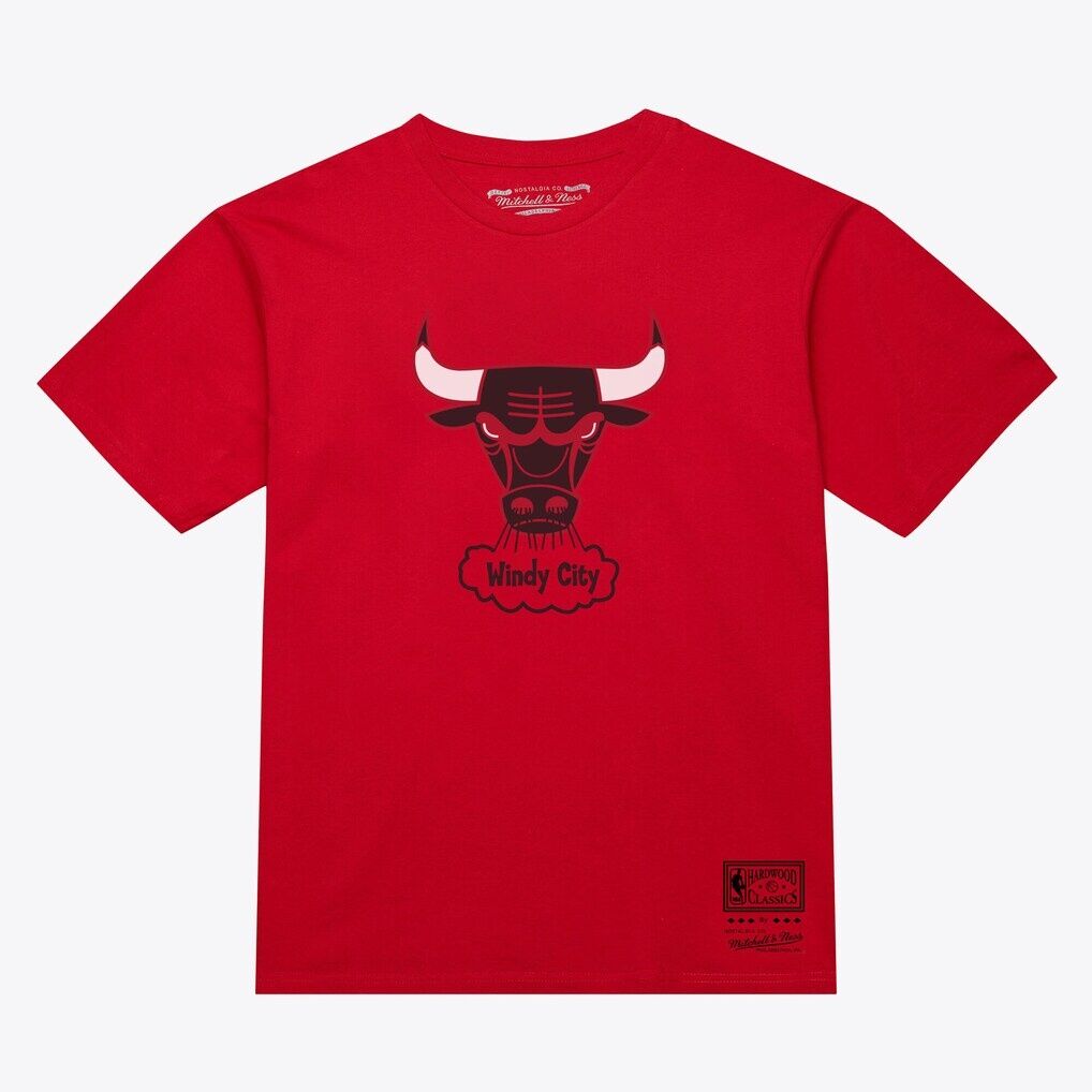Chicago Bulls Mitchell & Ness Unisex Hardwood Classics Arch T-Shirt