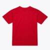 Chicago Bulls Mitchell & Ness Unisex Hardwood Classics Arch T-Shirt - Red - Side View