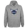 Charlotte Hornets Outerstuff Youth Primary Logo Pullover Hoodie - Gray - Front View