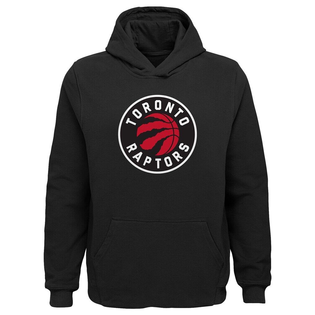 Toronto Raptors Outerstuff Youth Primary Logo Pullover Hoodie