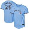 Anthony Santander Toronto Blue Jays Nike Youth Alternate Replica Jersey - - Front View