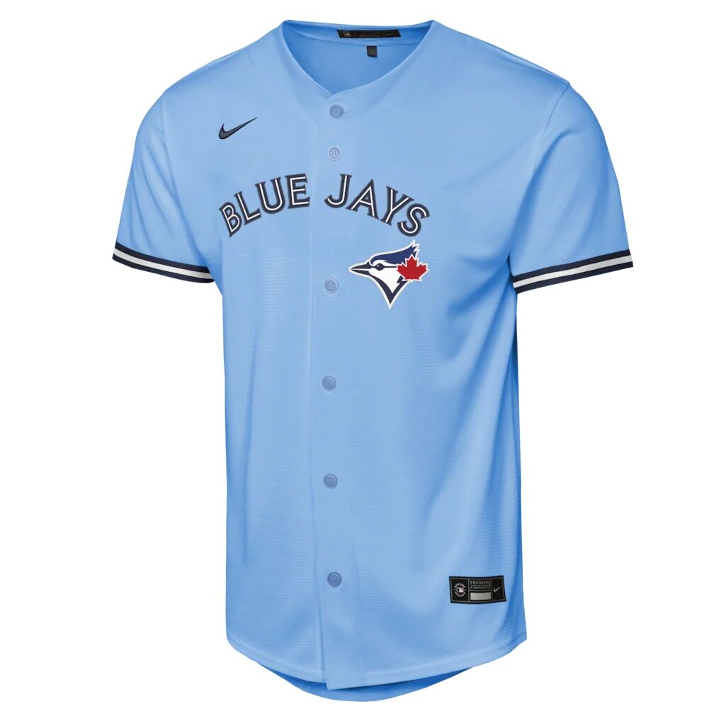 Anthony Santander Toronto Blue Jays Nike Youth Alternate Replica Jersey – Powder Blue