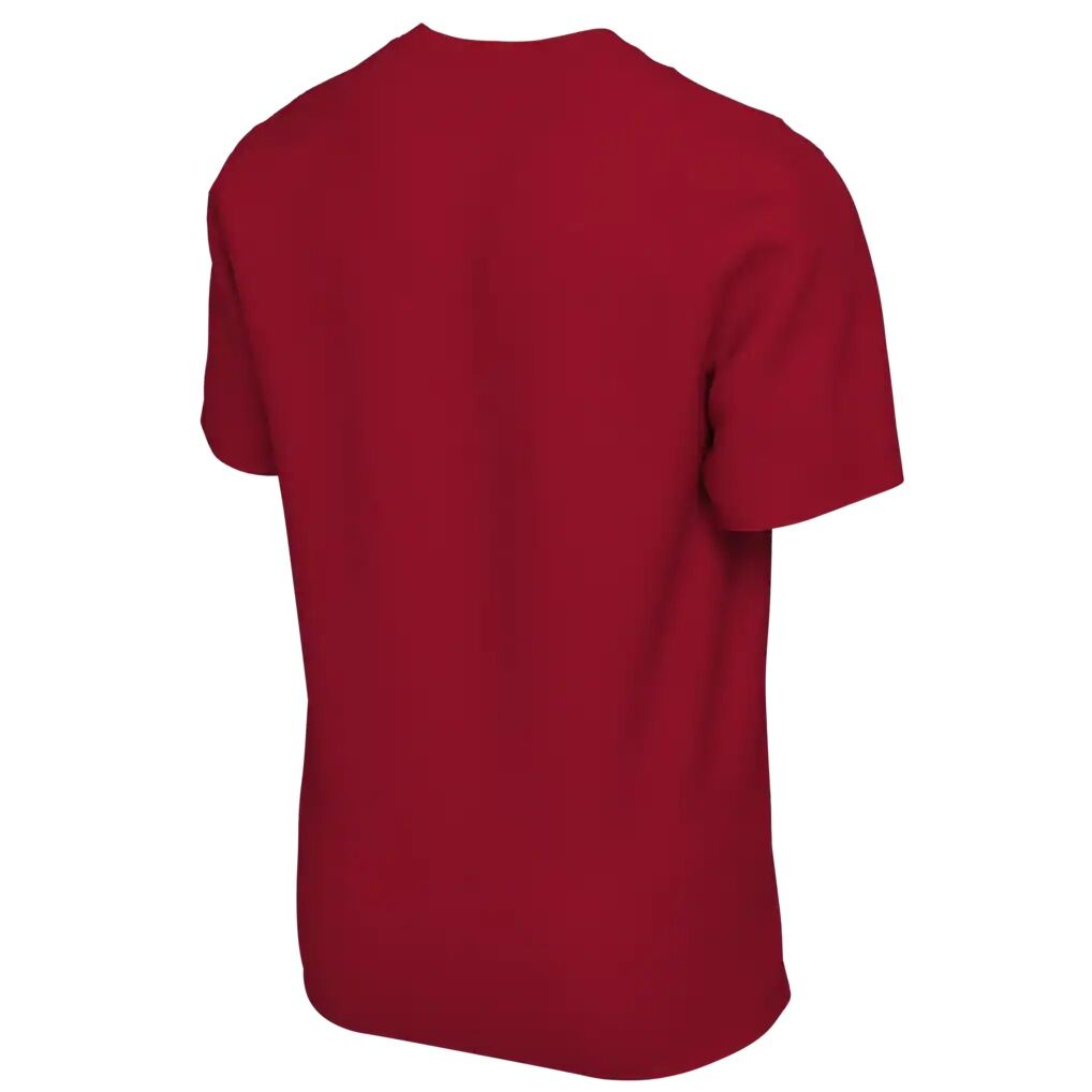 Toronto Raptors Nike Unisex 2026 NBA Playoffs Mantra T-Shirt