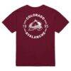 Colorado Avalanche Mitchell & Ness Core Penalty Box 3.0 T-Shirt - - Detail View