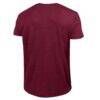 Arizona State Sun Devils Champion Vintage Triumph Tri-Blend T-Shirt - - Detail View